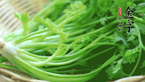 挑選鮮嫩的香菜，洗干凈后，處理成小段。